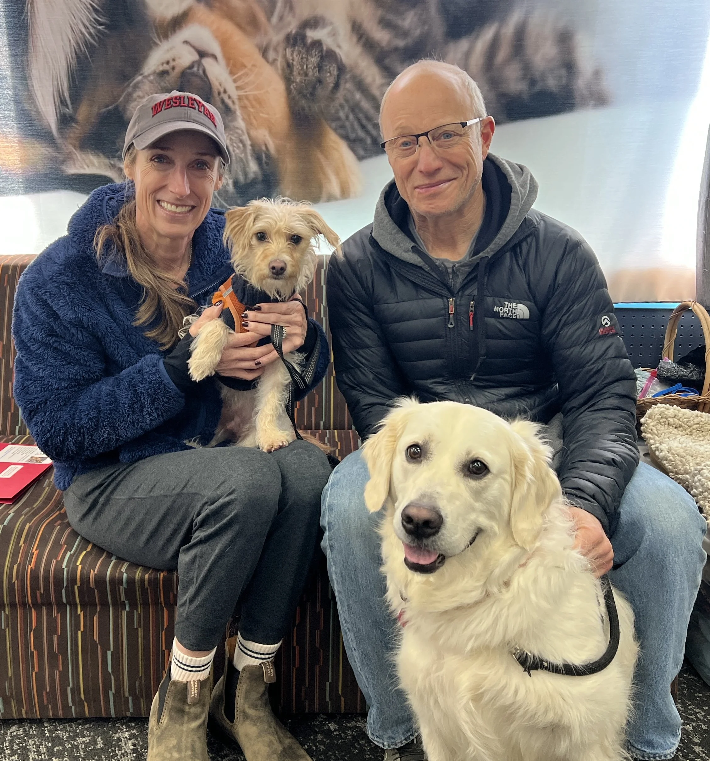 Squash (a.k.a. Grayson) in the lap with new big sister, Goose.