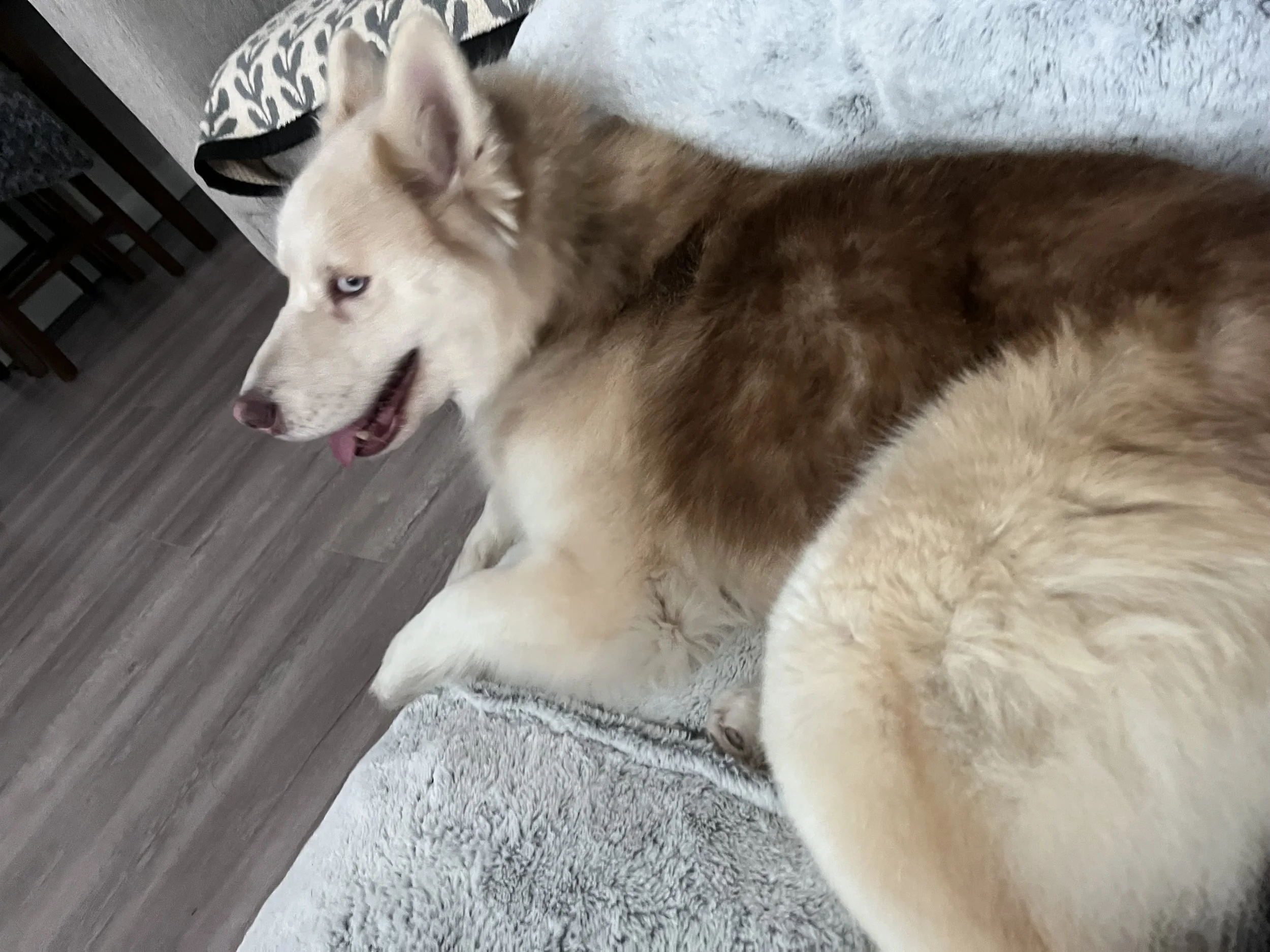 Photo Mar 14 2026, 4 12 08 PM.jpg