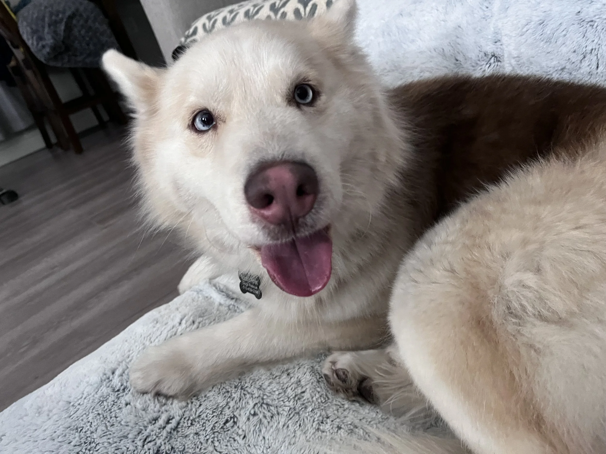 Photo Mar 14 2026, 4 12 46 PM.jpg