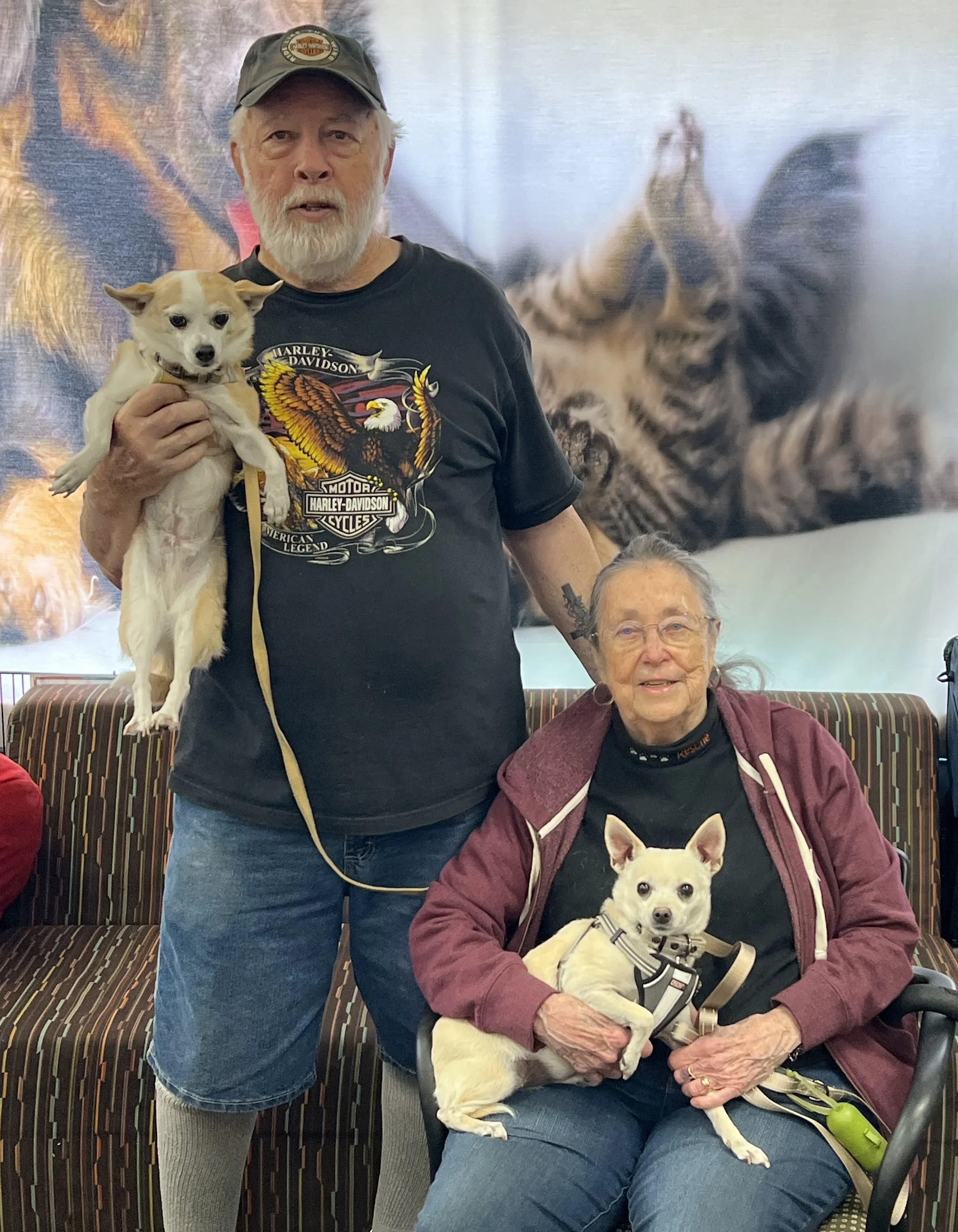 Sweetie (in the lap) with Penny (a Nobody's Perfekt Dog alumni) 