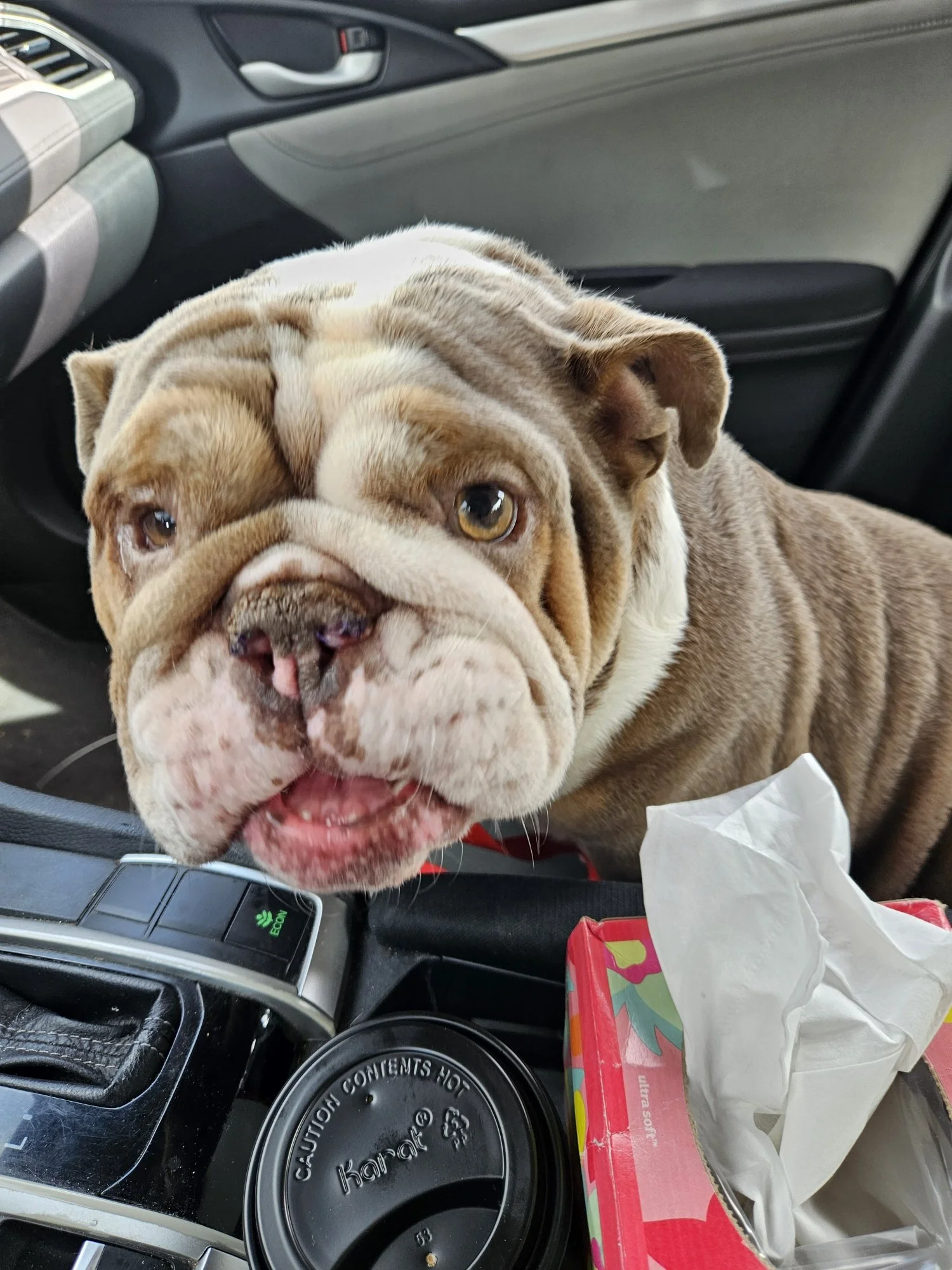 Photo Feb 25 2026, 3 13 31 PM.jpg