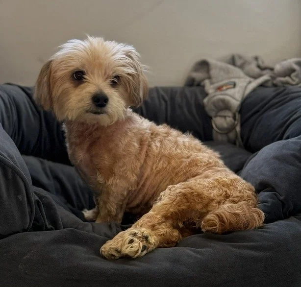 Photo Apr 12 2026, 5 19 53 PM.jpg