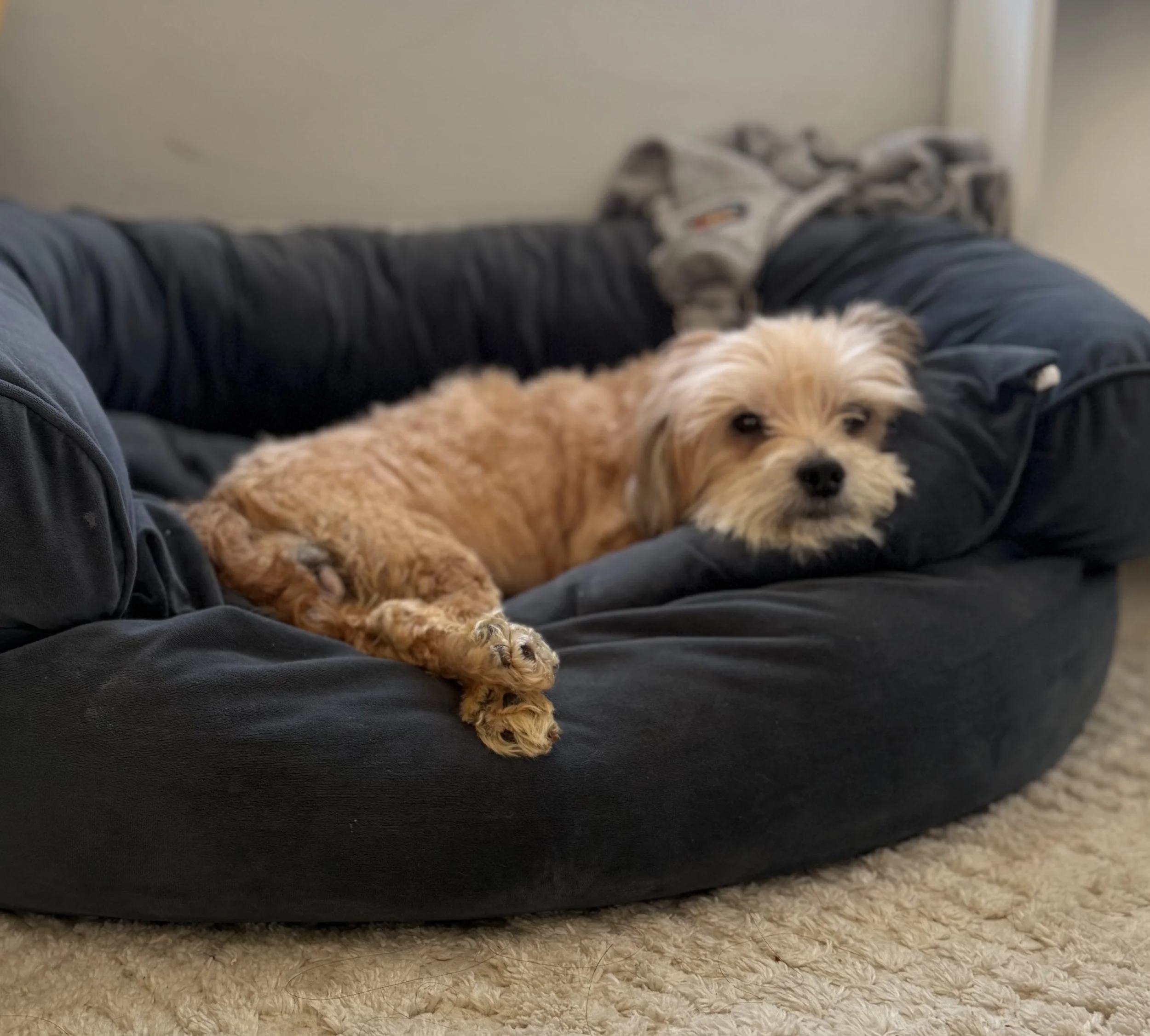 Photo Feb 03 2026, 1 02 52 PM.jpg