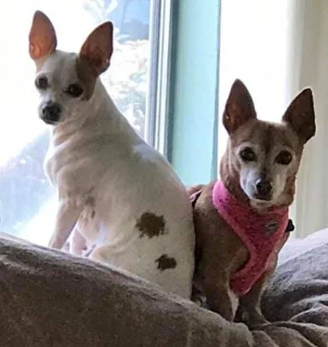 Princess (on the right)