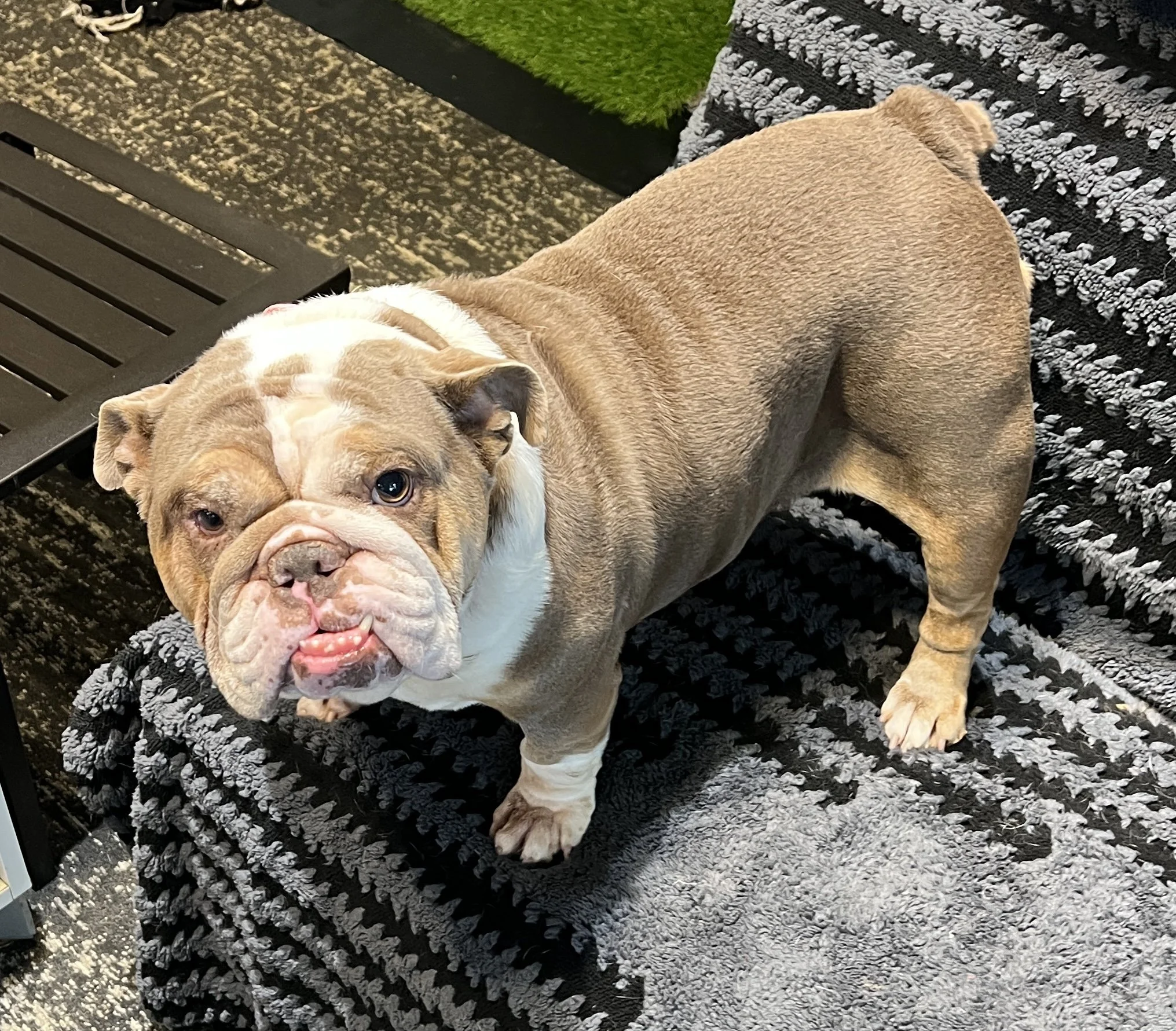 Photo Apr 14 2026, 1 56 50 PM.jpg