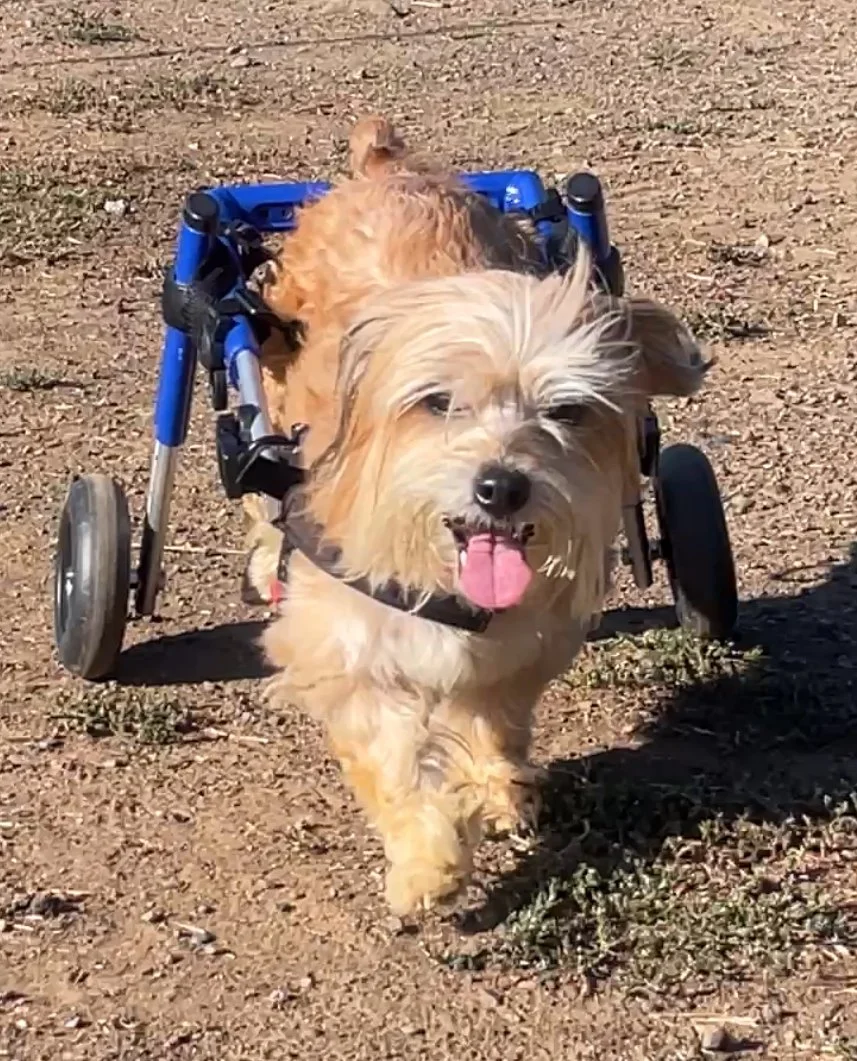 Photo Oct 08 2025, 1 26 25 PM.jpg