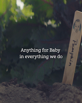 Gerber_TransitionPost_R1_SparkVideo.gif