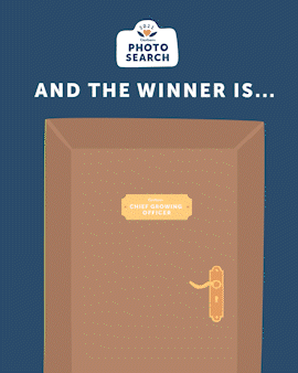 ORG_PhotoSearch_Announcement_062721_InFeed_R3_SparkVideo.gif