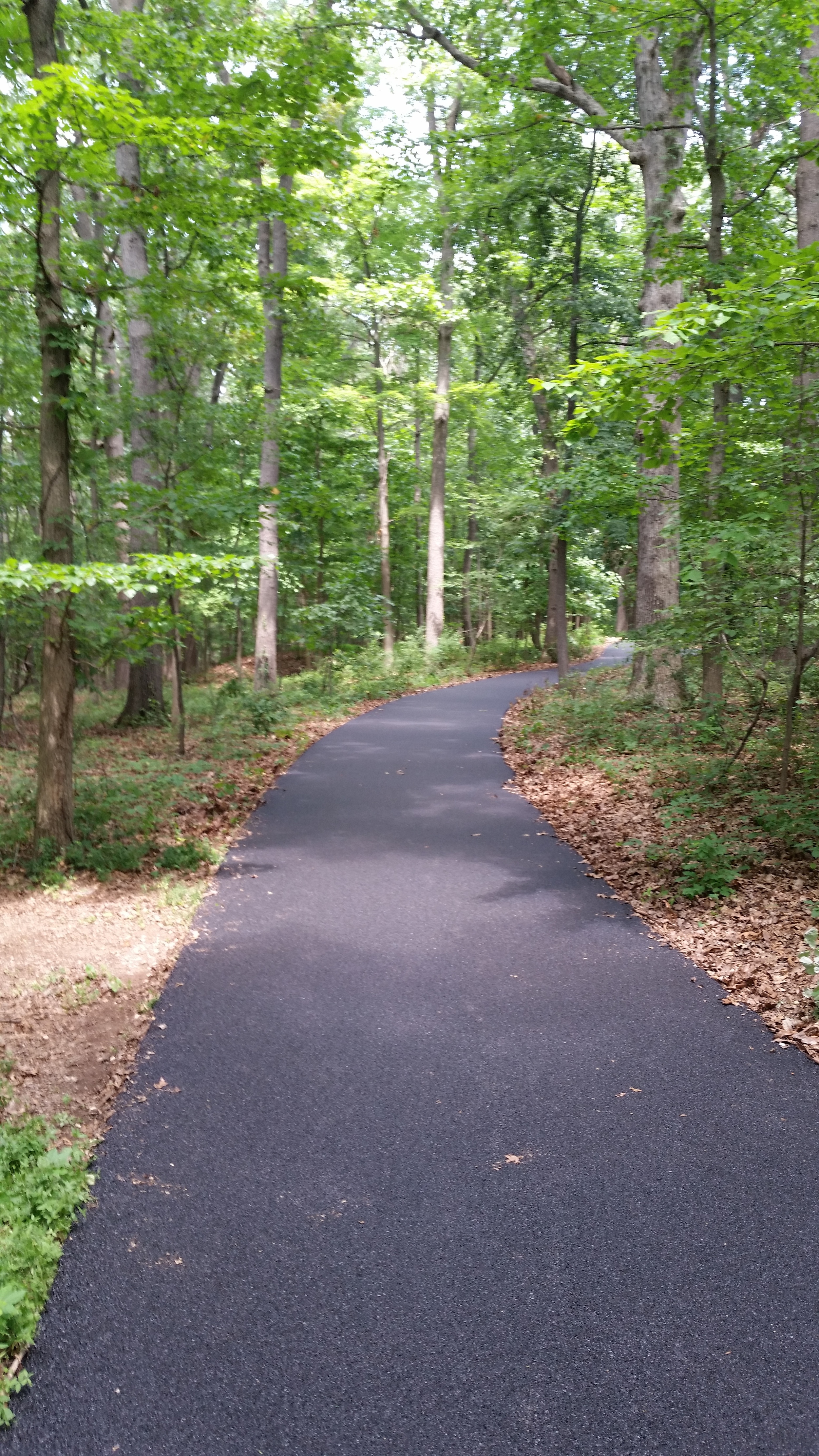 Making remote driveways accessible