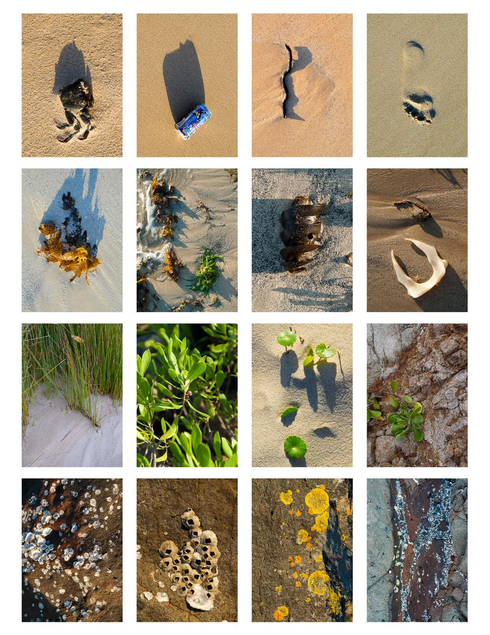 LONR - beach-5.jpg