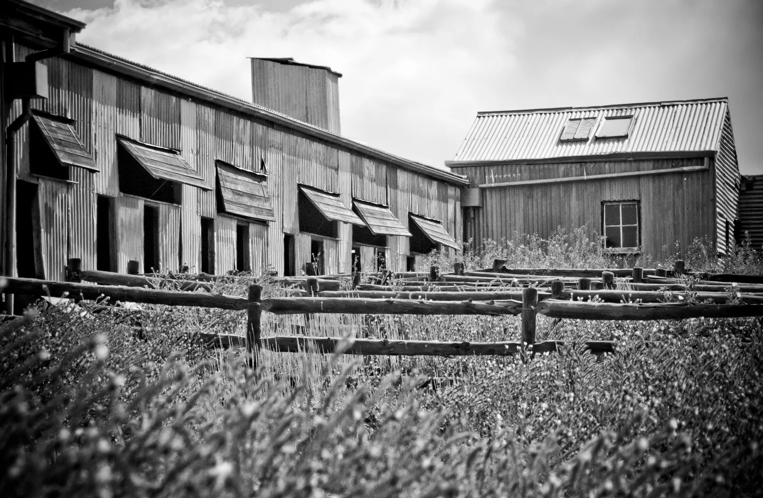 LONR - blackwhite-8.jpg