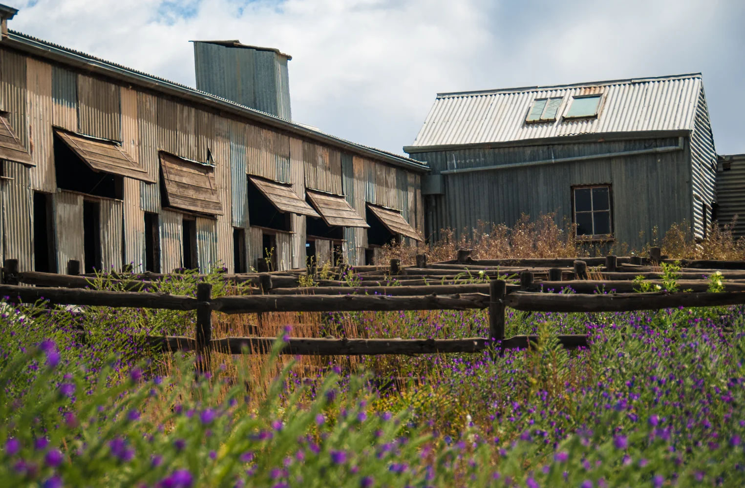 LONR - woolshed-11.jpg