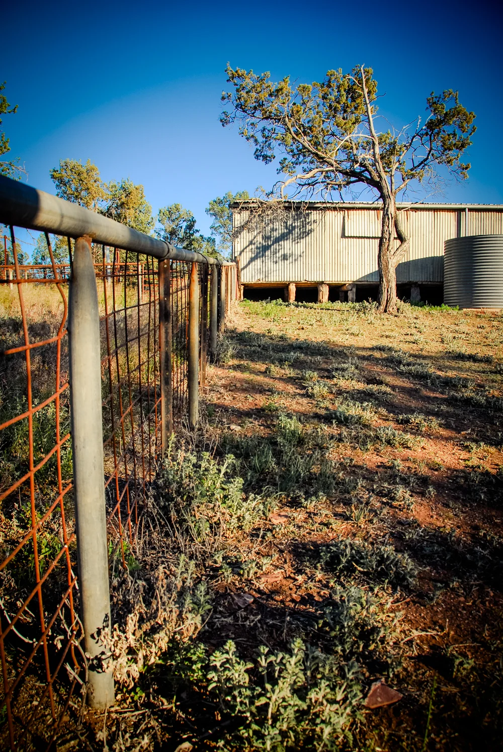 LONR - woolshed-25.jpg