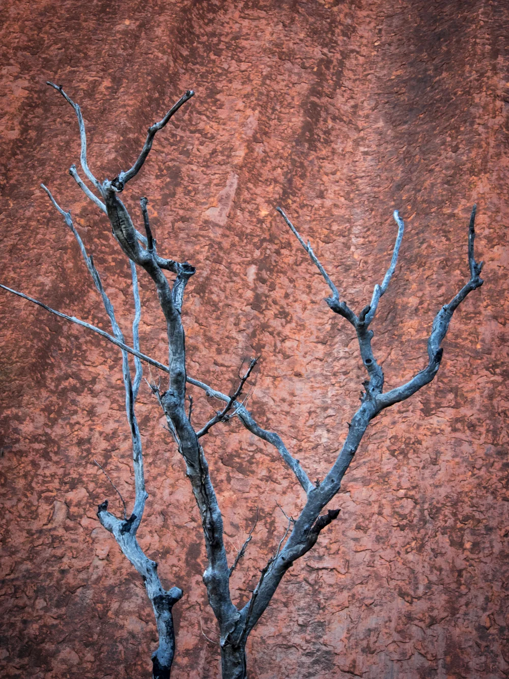 LONR - rocks-14.jpg