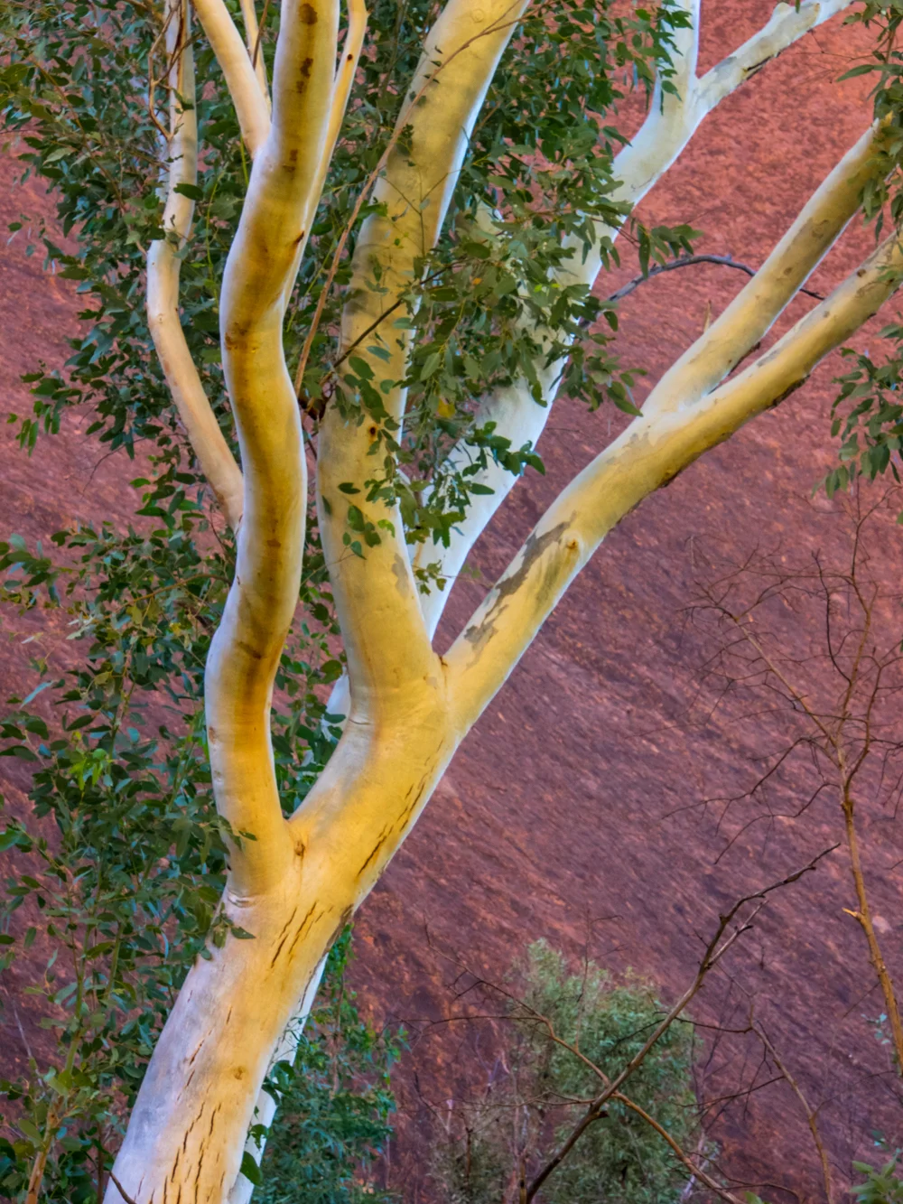 LONR - rocks-16.jpg