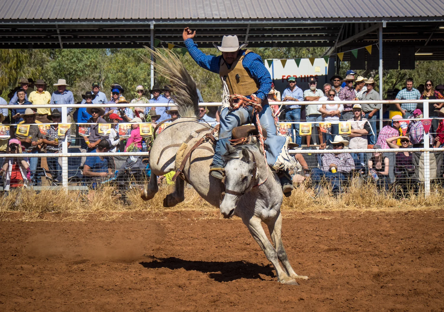 LONR - rodeo-4.jpg