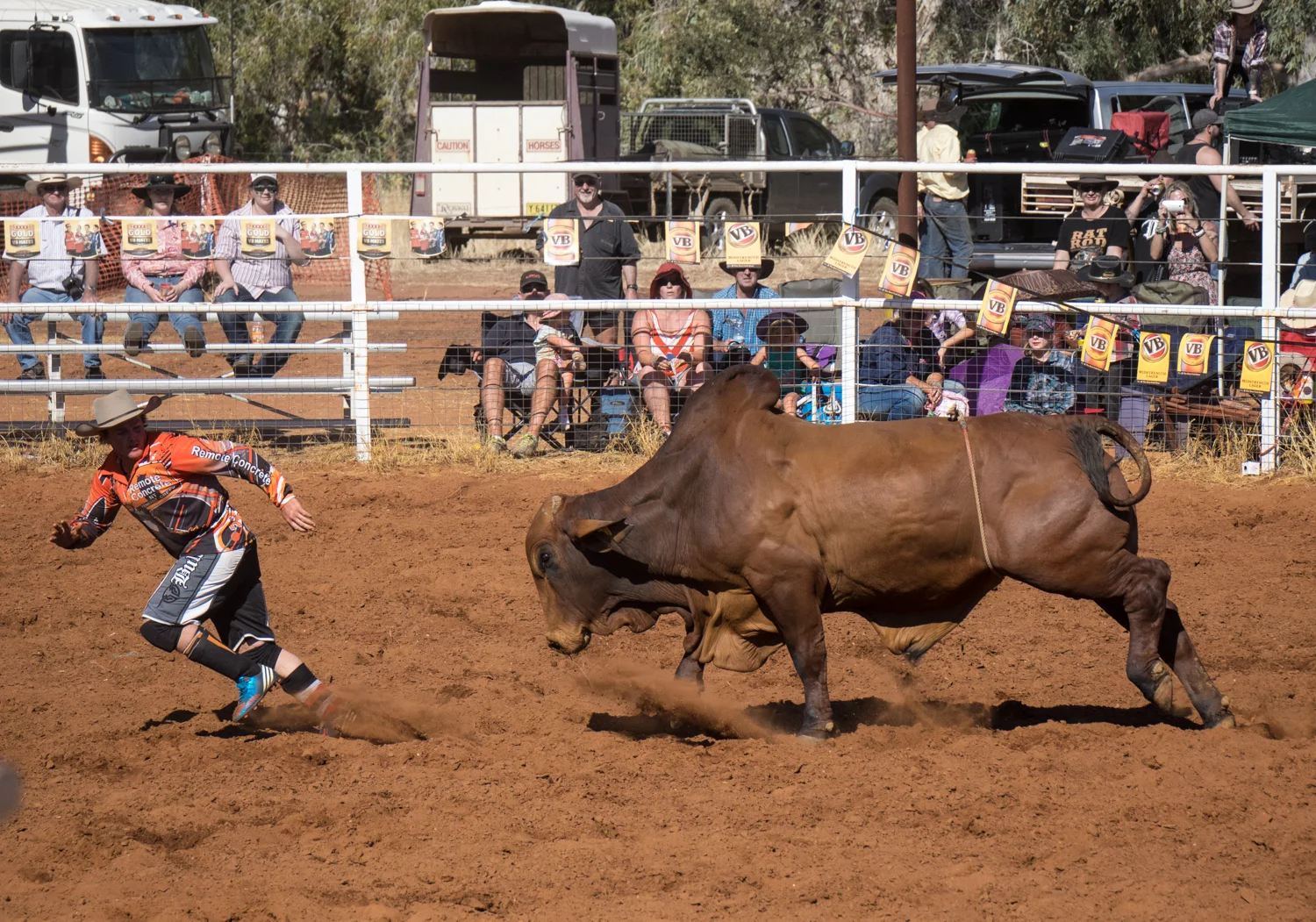 LONR - rodeo-7.jpg