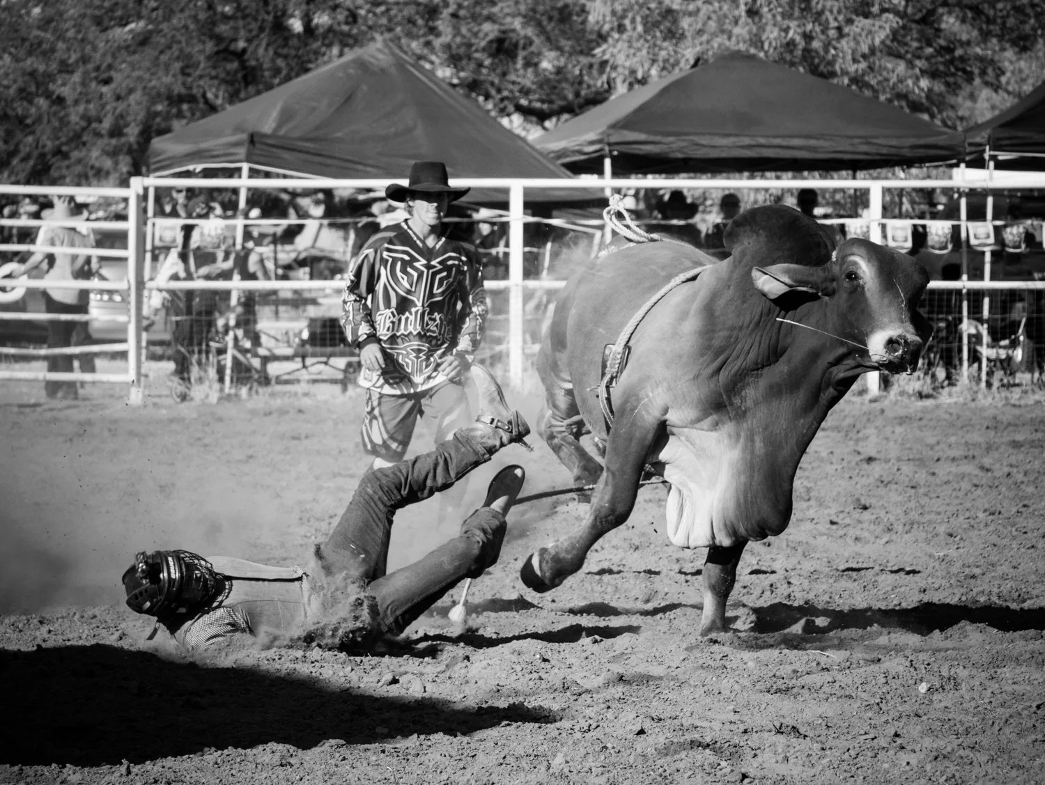 LONR - rodeo-20.jpg