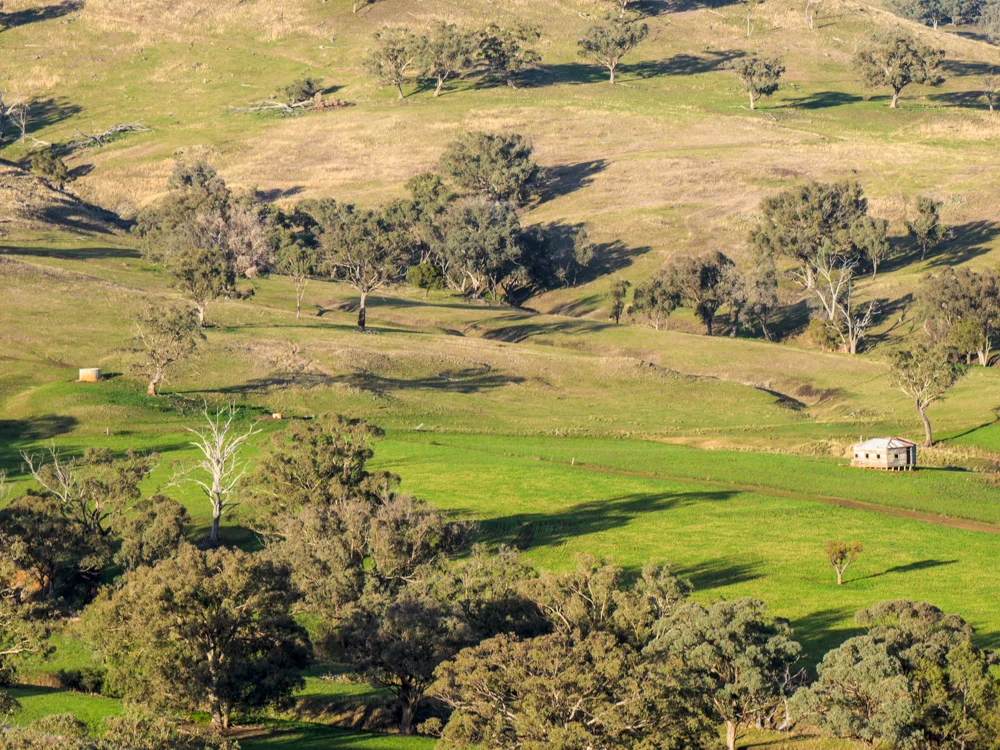 JULY 2015 Coolah Tops National Park, NSW — Lens on the Road