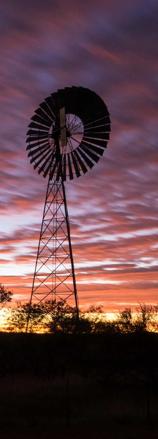 LONR - TDBD Oodnadatta-52.jpg