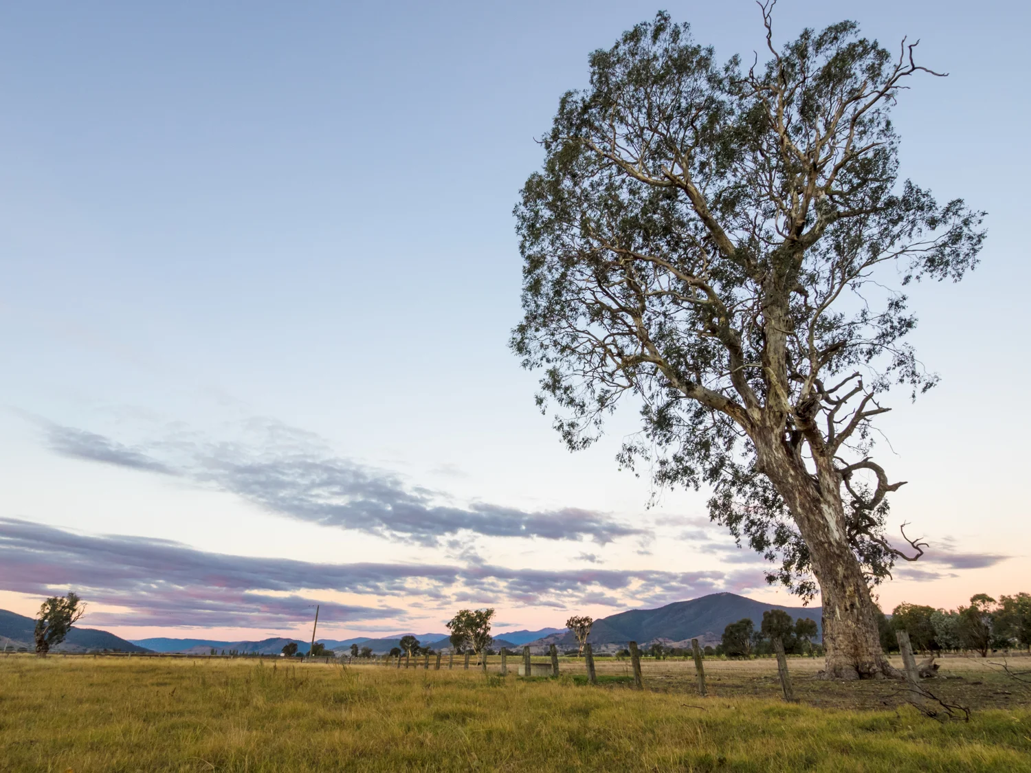 LONR - Corryong-7.jpg