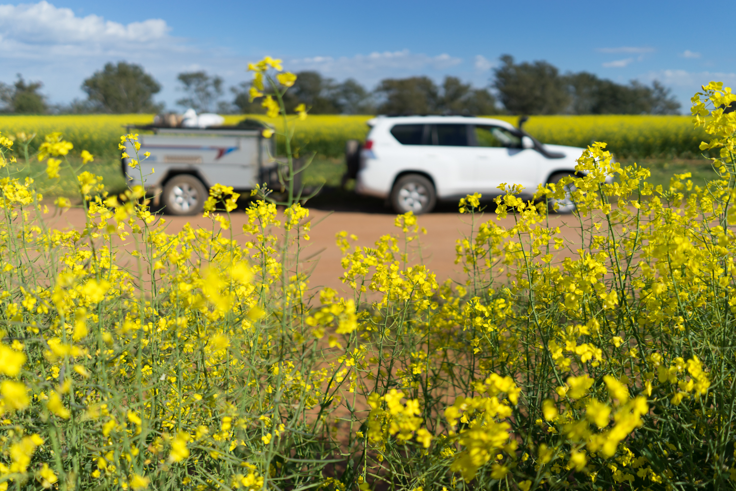 LONR - MtBuller-46.jpg