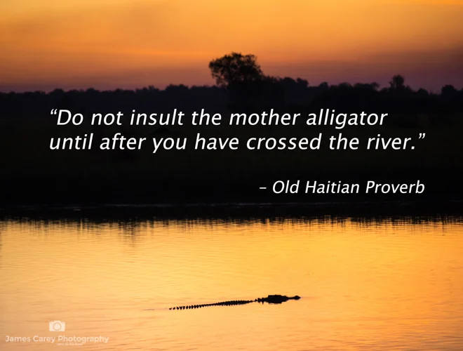 LONR - travel quote-28.jpg