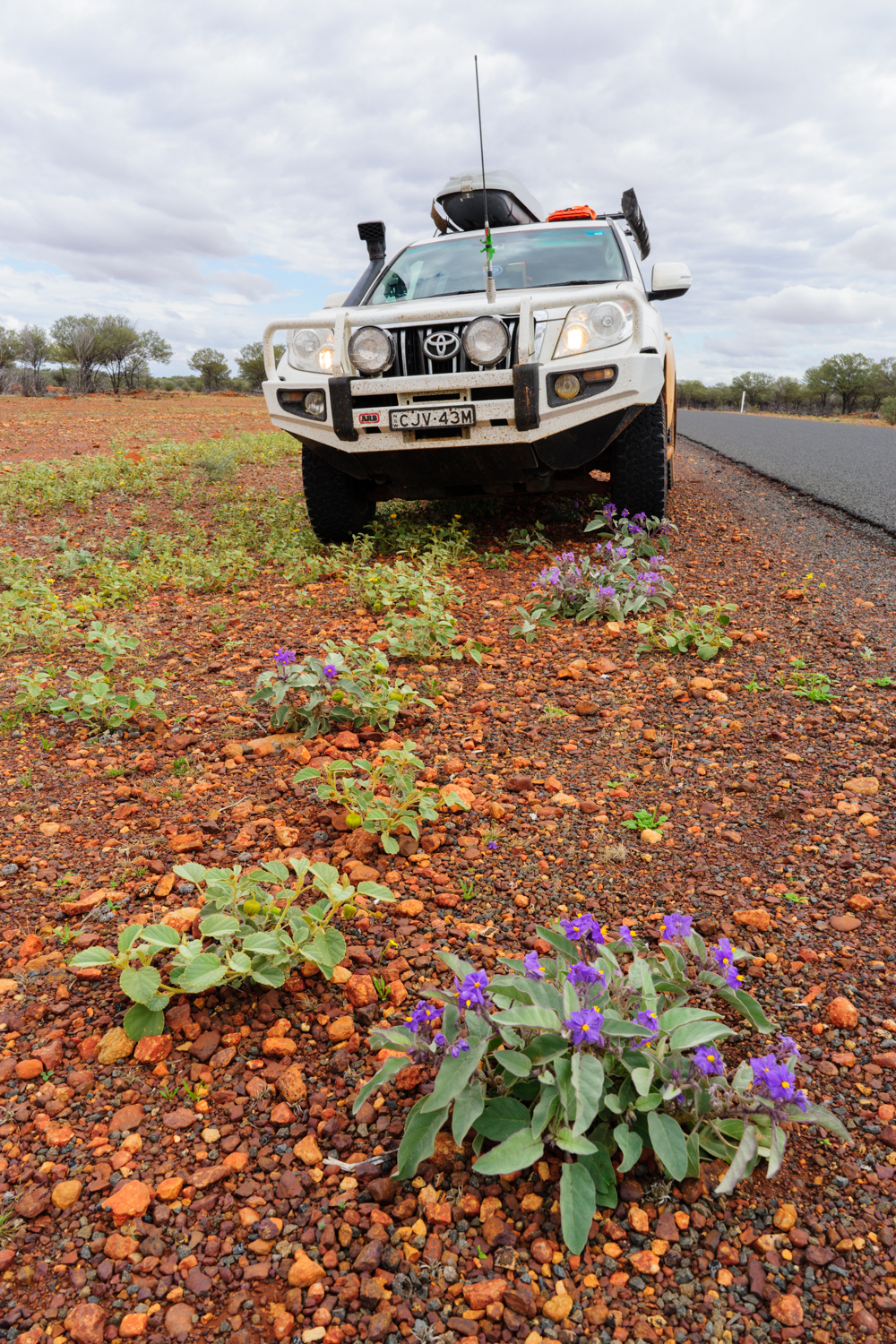 LONR - Outback Qld-102.jpg