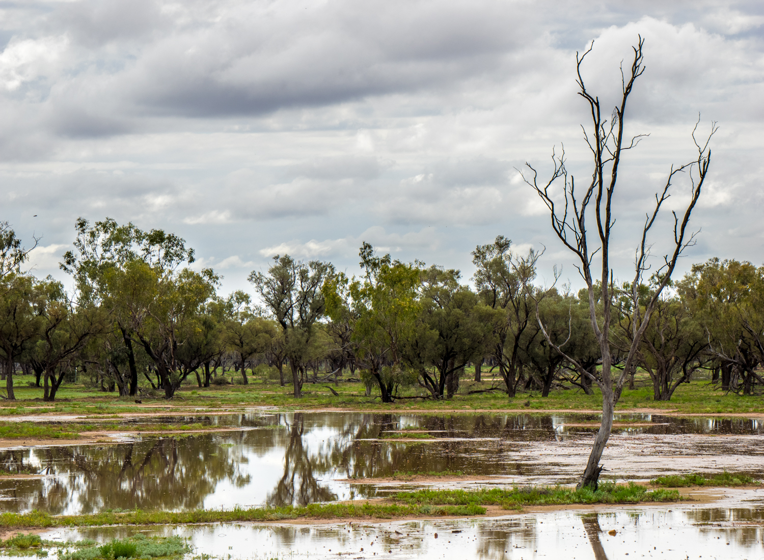LONR - Outback Qld-14.jpg