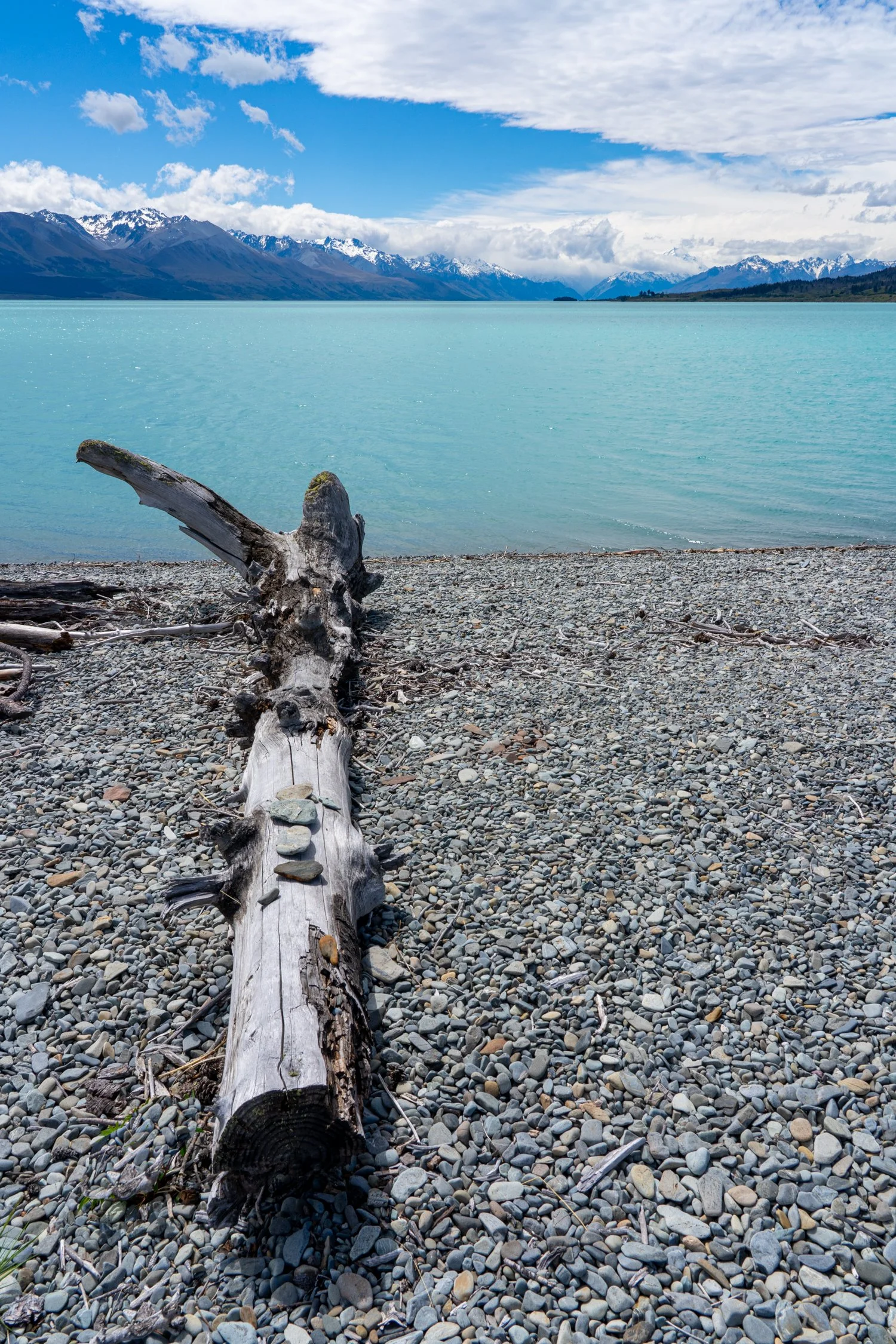 2025 New Zealand2025 New Zealand DSC05547.jpg