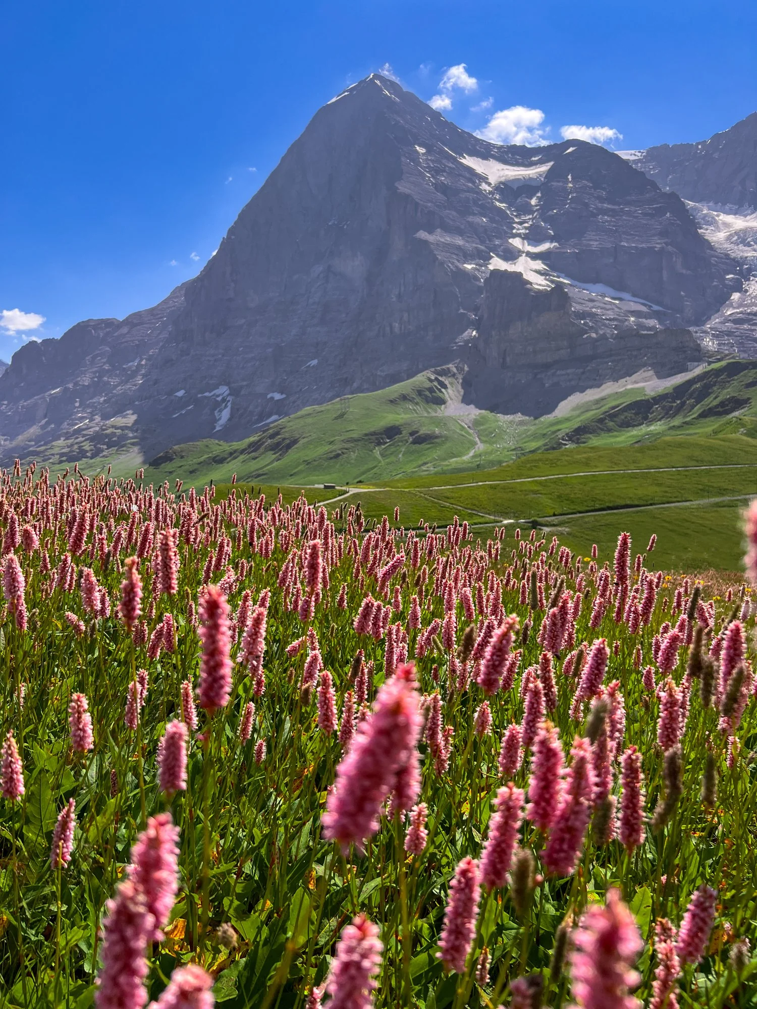 2026 SwitzerlandIMG_3762.jpg