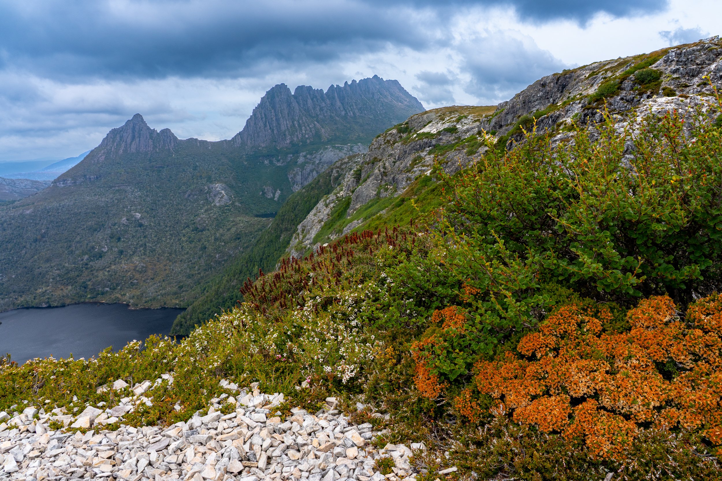 Overland 1_2026 OverlandDSC06219.jpg