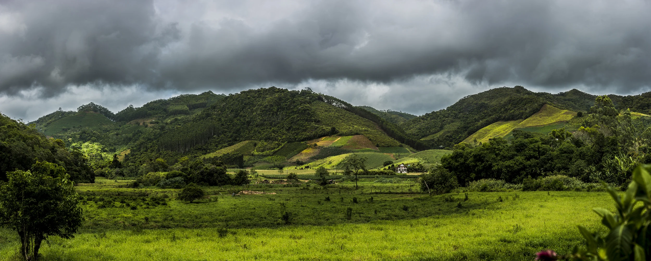 Matilde Farm - Espirito Santo Brazil
