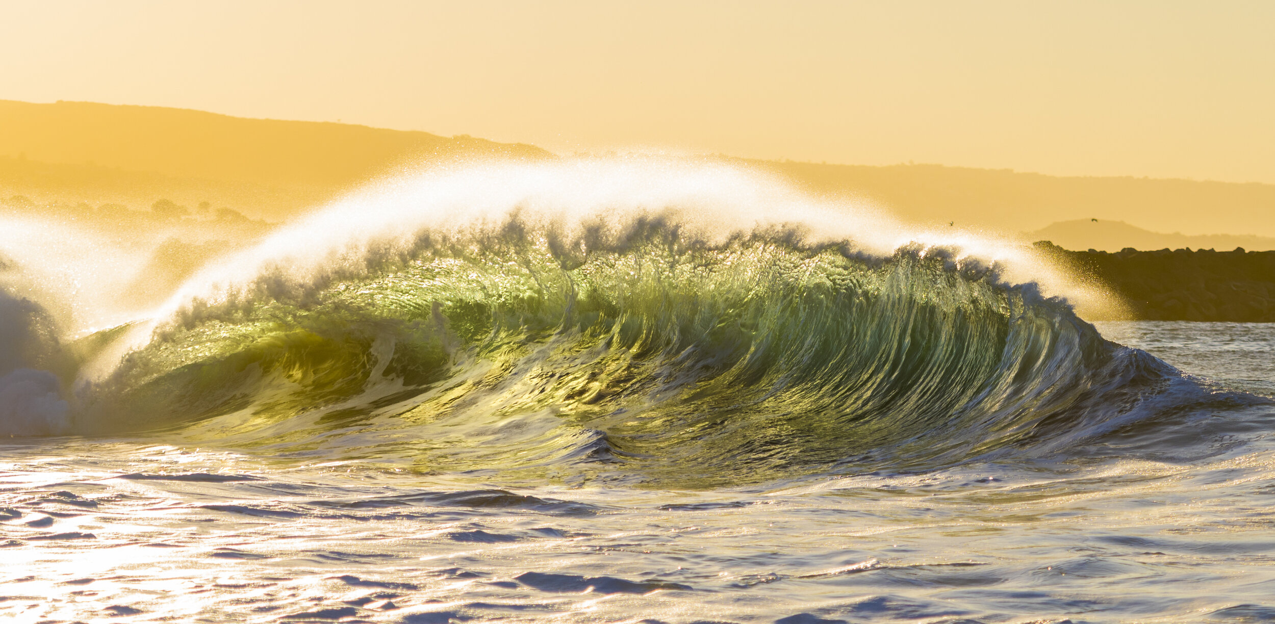 Golden Wave - The Wedge - Newport Beach CA