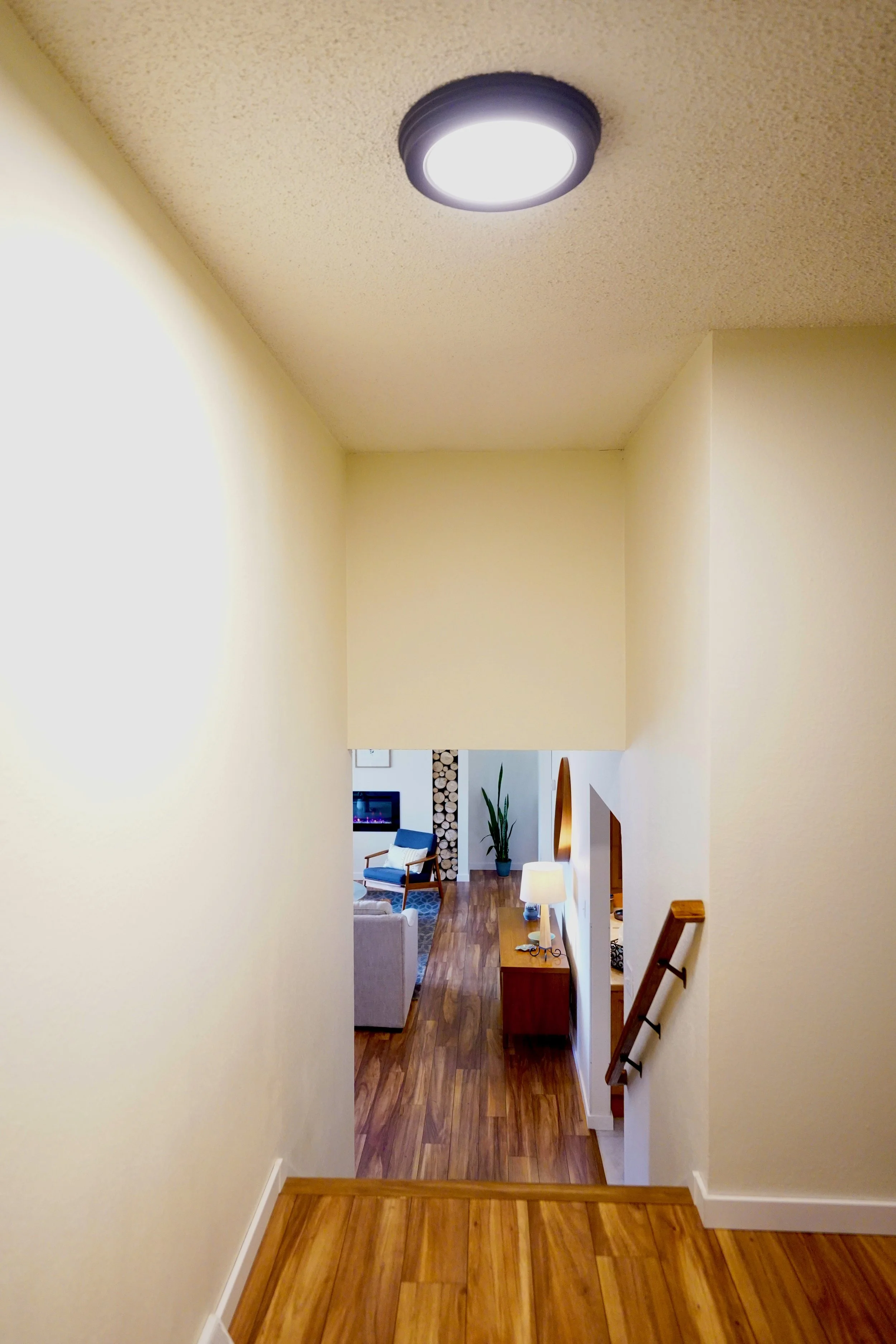 DSC01350.jpeg