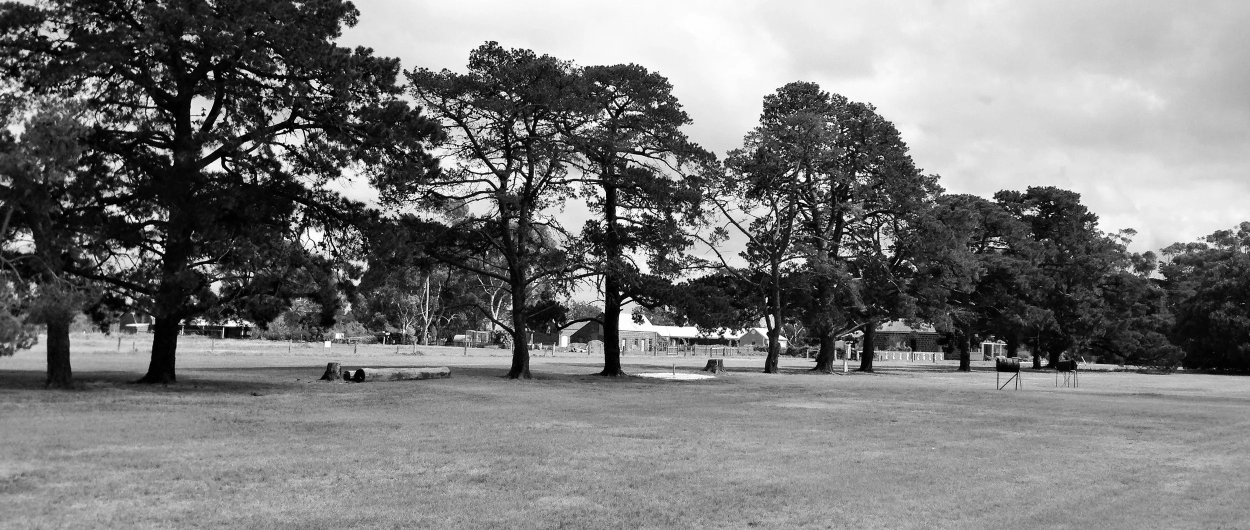 IMG_6992 (3) - Copy.JPG