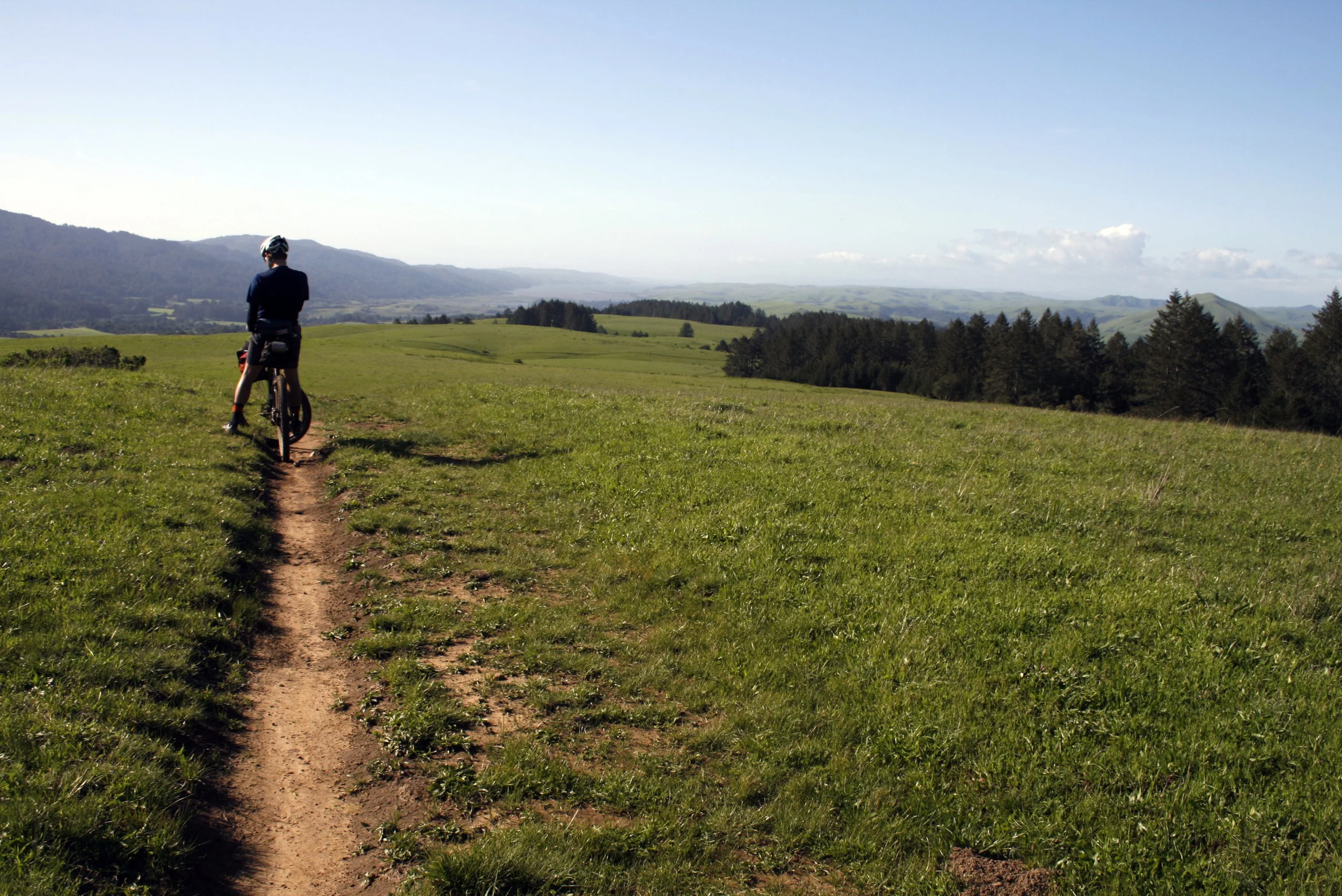 Open Grassy Ridge on Bolinas Ridge Rd.