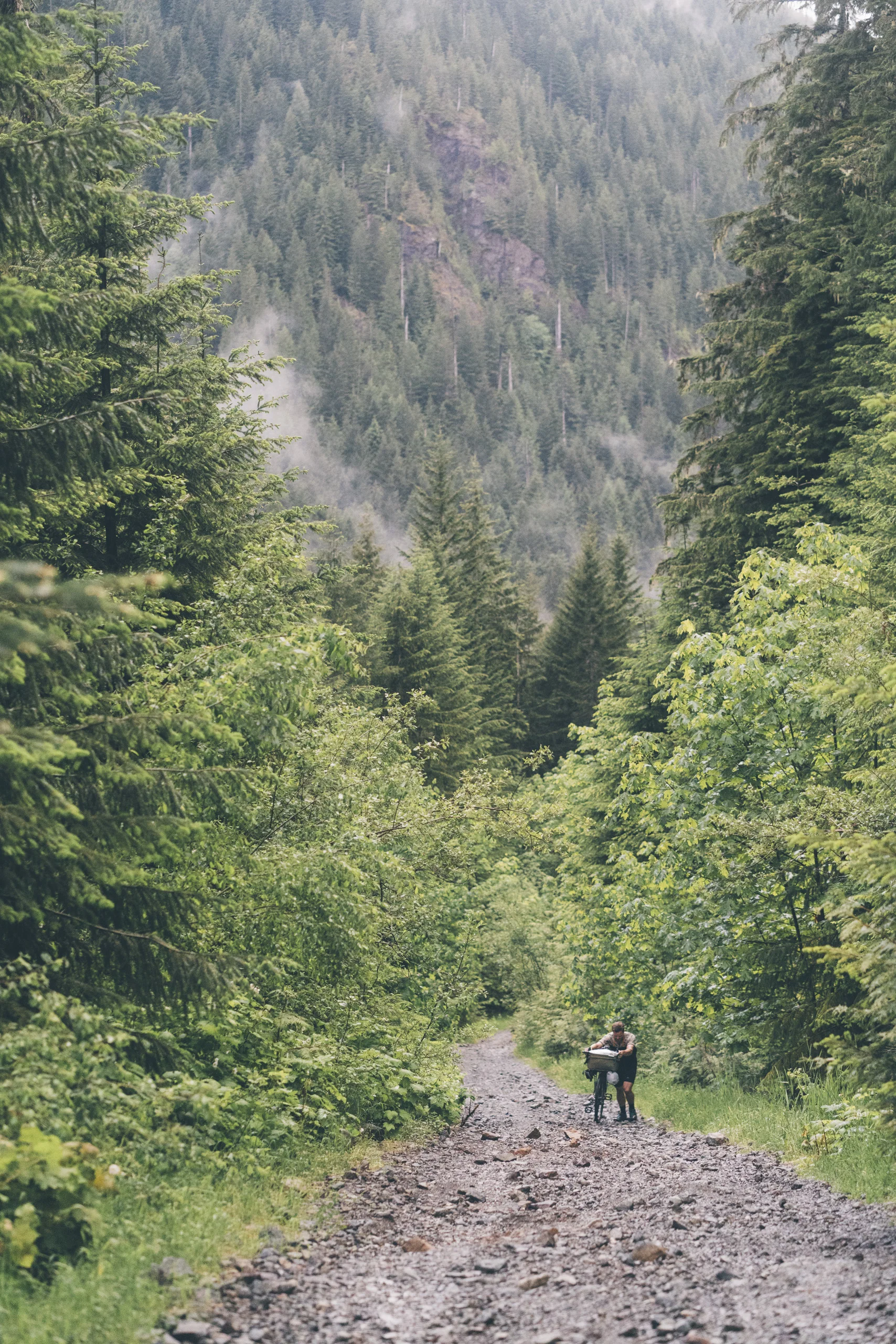 Bikepacking-VanIsland-JohnsonStudios-201806-70.jpg