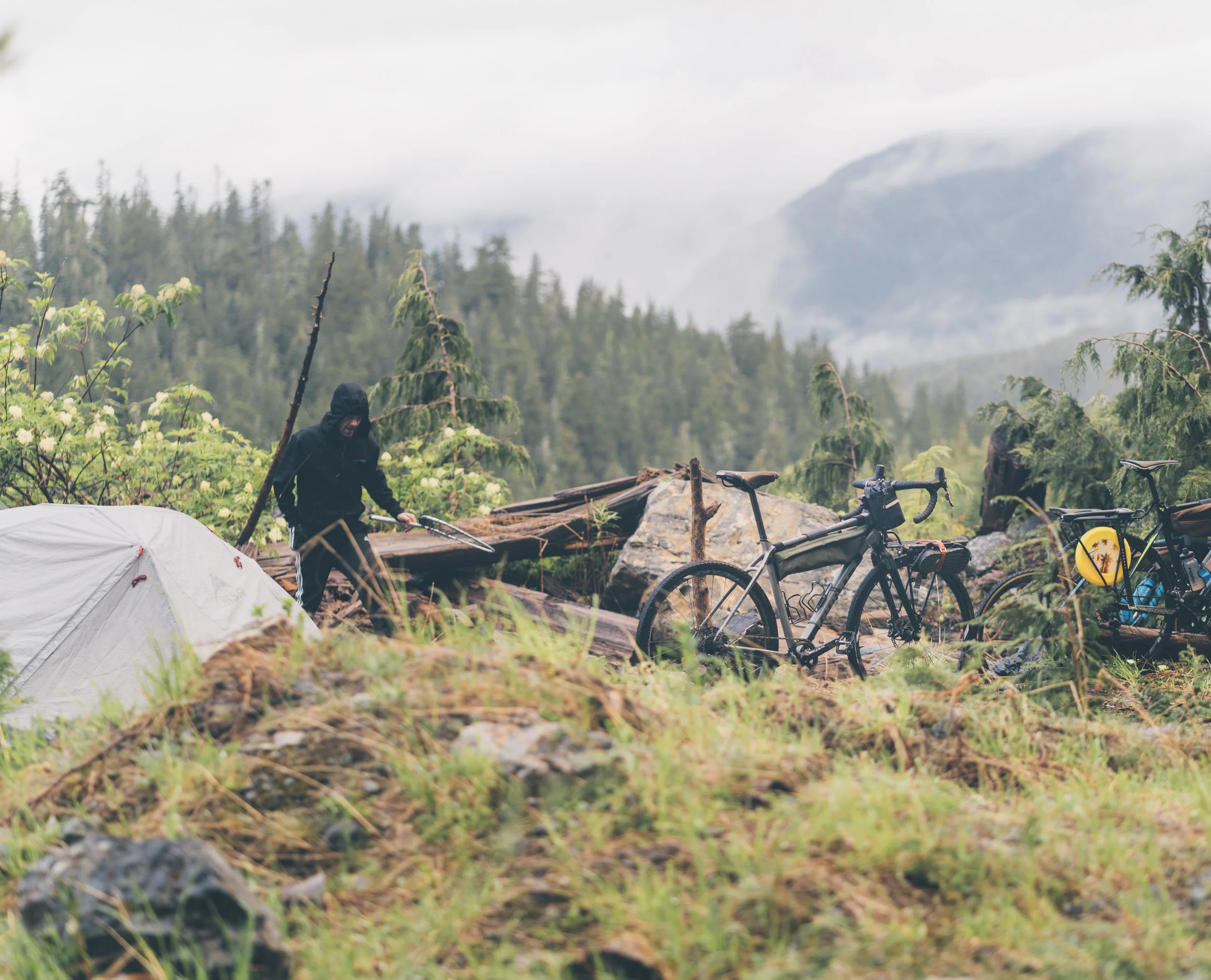 Bikepacking-VanIsland-JohnsonStudios-201806-83.jpg