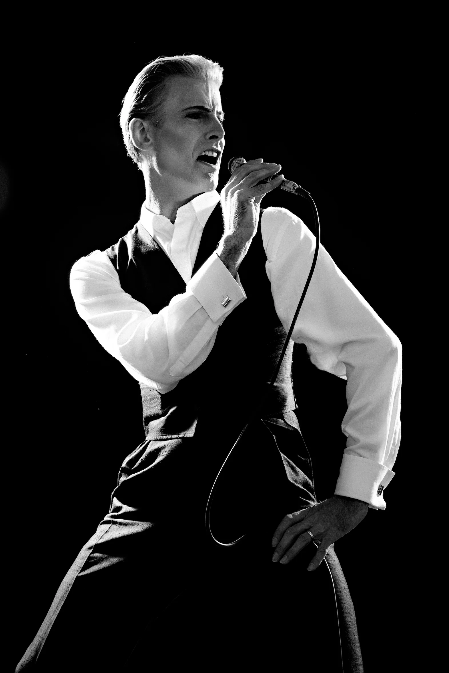 White Duke-101.jpg
