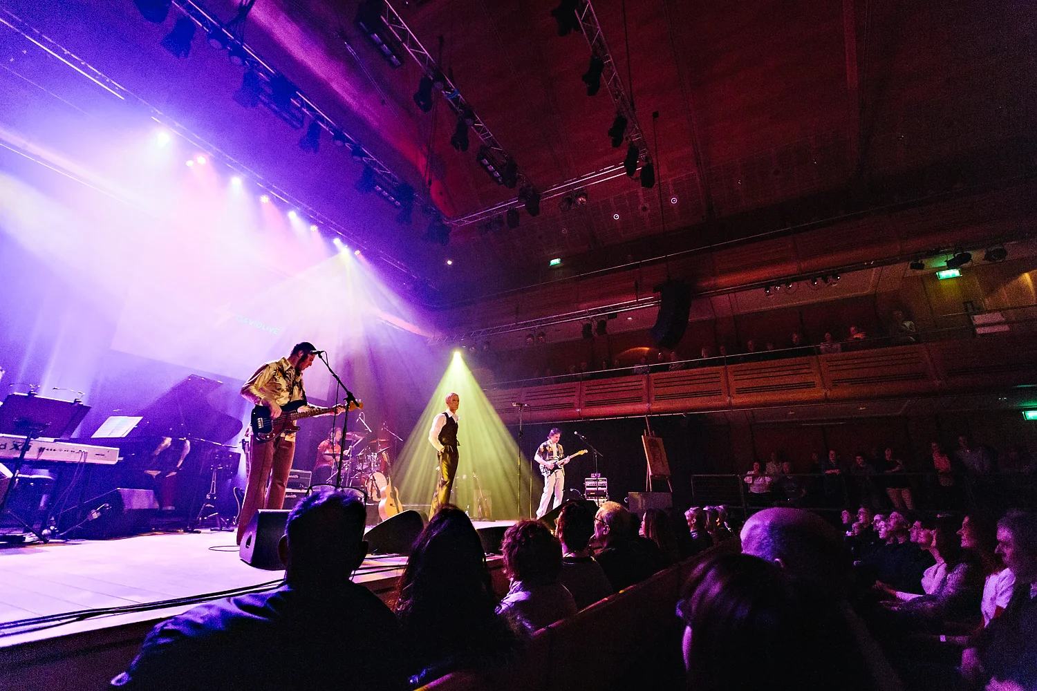 DavidLive Bury Apex 160416 web res final-169_.jpg