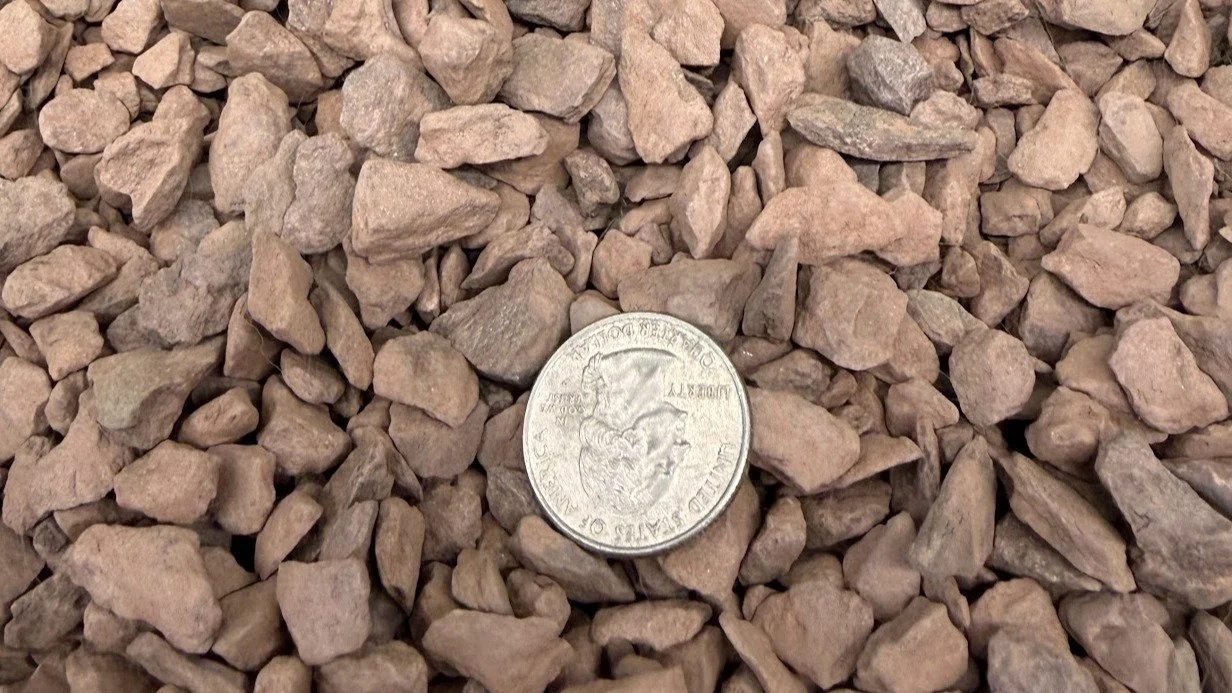 A close-up view of small, beige gravel rocks with a quarter coin placed on top for size reference.