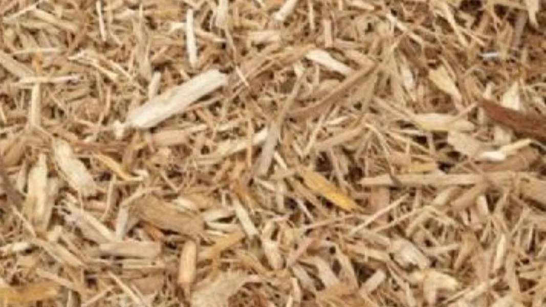 Close-up of wood shavings or sawdust, light brown in color.