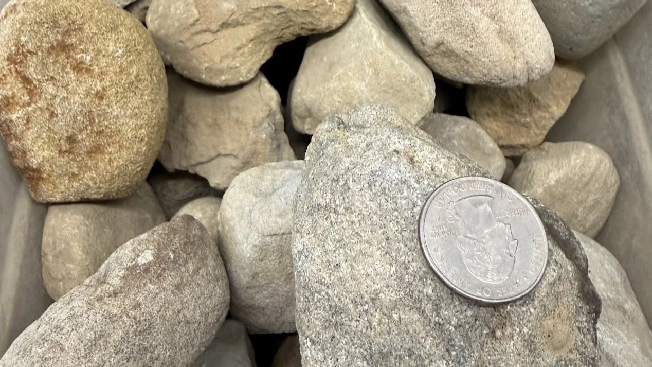 Various small rocks and stones with a quarter coin on top.