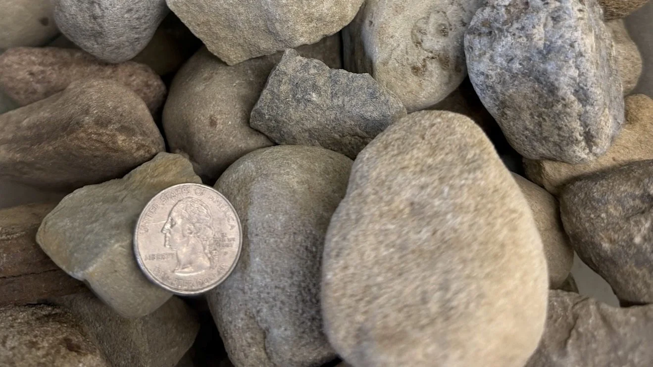 Collection of various rocks with a quarter for size reference.