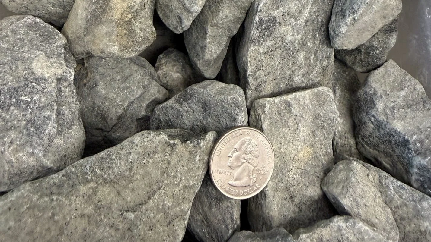 A group of gray rocks with a quarter placed among them for size reference.