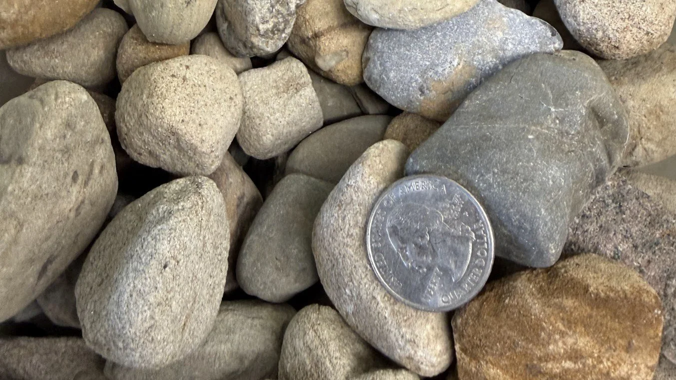 A collection of small, smooth rocks with a U.S. quarter coin placed on one of the rocks for size reference.