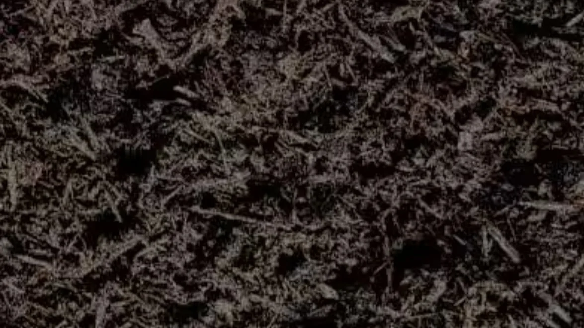 Close-up of dark soil or compost with small wood chips and organic matter