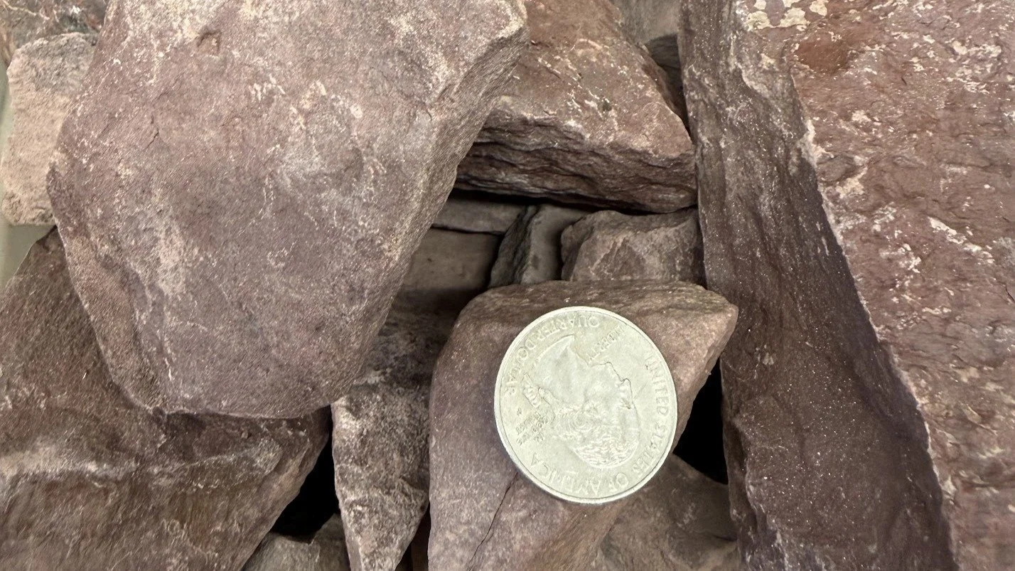 A collection of various-sized brown rocks with a quarter coin for size reference.
