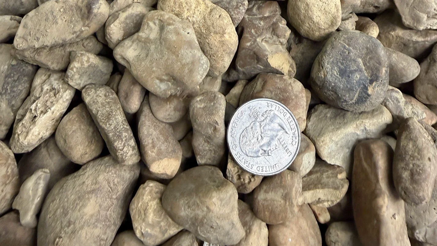 A pile of small, irregularly shaped rocks with a quarter coin for size comparison.